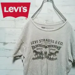 【大人気】90's LEVI'S Tシャツ ビッグプリント 半袖 825