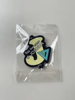 【新品】 SEVENTEEN 2017 CONCERT 連結チャーム ジョシュア