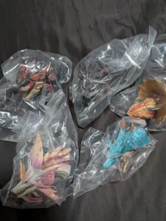 モンスターハンターワイルズ 一番くじ　C賞 モンスターヘッドマグネット　全5種