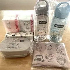 PEANUTS ボトル・弁当箱とエコバッグ・西川ハンカチタオルセット　6点セット
