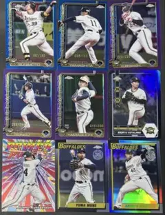 Item thumbnail for item 93938ca4-37a2-41cf-b38e-af3b3305eae1