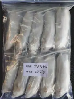 送料無料 冷凍マウスアダルトL50匹 - メルカリ