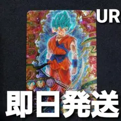 【匿名発送】 hgd2-17 孫悟空 UR