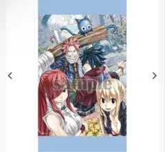 フェアリーテイル 版画展 タペストリー ナツ ハッピー ルーシィ エルザ 