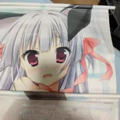 はつゆきさくら B2タペストリー White Graduation 非売品