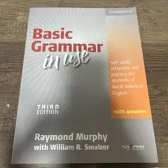 Basic Grammar in use - Third Edition