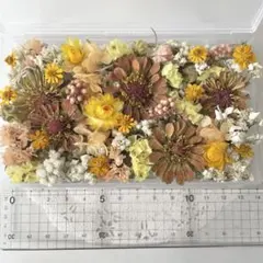 No.450 花材色々ドライフラワーセット