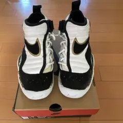 ナイキ　エアシェイク限定モデル　加水分解品