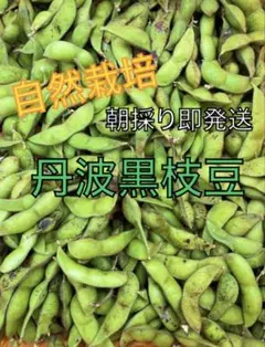 ミキ様専用　30日発送　4キロ