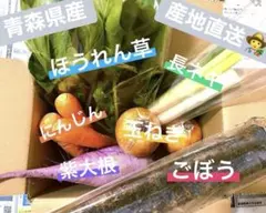 【青森県産＊野菜セット＊詰め合わせ】6種類 60サイズ 農薬不使用