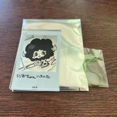 最安値⭐︎ リボーン ランボ フォトスタイルクリアキーホルダー