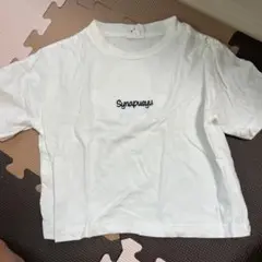 シナぷしゅ ホワイト Tシャツ 90サイズ
