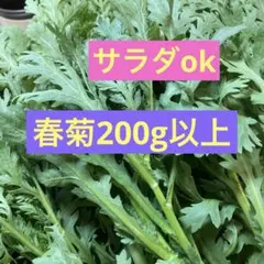 春菊200g以上　箱込み250g以上ネコポスいっぱいのサムネイル