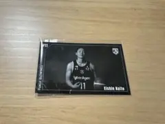 福井ブローウィンズ　内藤英真