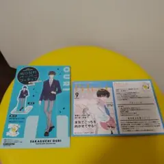 坂口桜利　多聞くん今どっち！?　TSUTAYA　私の彼氏棚　イラカ　フィギュア