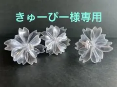 きゅーぴー様 リクエスト 2点 まとめ商品