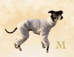 イタグレ服 ペットグッズ