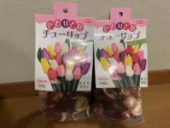 2026年最新】サカタのタネ 株主優待の人気アイテム - メルカリ