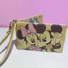 TDR 年パス限定　パスケース　ミッキー