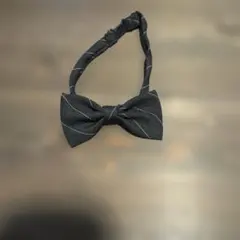 Item thumbnail for item cd781067-205f-4c23-adb0-bd741193f6b4