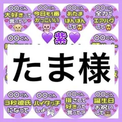 たま様　専用　カンペうちわ