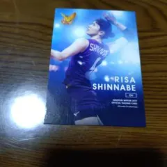 Item thumbnail for item 4bfa8c42-c5ab-4c5b-ab06-05e270785e0a