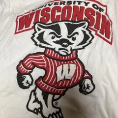 wisconsin