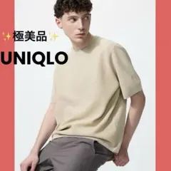 ✨極美品✨ ユニクロ ウォッシャブルミラノリブニットTシャツ ベージュ Lのサムネイル