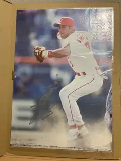 【公式グッズ】 広島東洋カープ 野村謙二郎 直筆サインボール 公式グッズ】 広島東洋カープ 野村謙二郎 直筆サインボール 公式