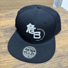 細美武士 ELLEGARDEN MONOEYES the HIATUS 細美