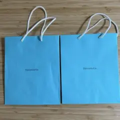 Item thumbnail for item 83b47357-d052-4097-af78-24f86bb41a47