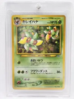 2026年最新】ポケモンカードNeo スターターパックの人気アイテム