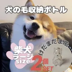 けだまだま メモリアル キーホルダー 毛玉 ケース 犬の毛 柴犬 秋田犬 2個