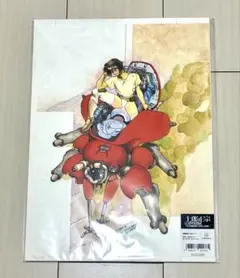 ドロヘドロ　複製原画　ニカイドウ　限定70部 ドロヘドロ 複製原画 ニカイドウ 限定70部 - メルカリ