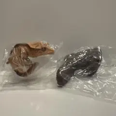 クレステッドゲッコー カプセルトイ