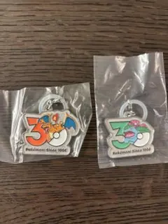 ポケモン 30周年記念チャーム 2個セット