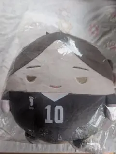 ハイキュー 角名倫太郎 ぬいくじ2 B賞 D賞 ハイキュー!! ぬいくじ2 角名倫太郎B賞 - メルカリ