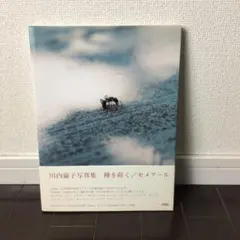 AILA 川内倫子サイン入り 2025年最新】川内倫子 サインの人気アイテム - メルカリ