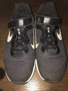 Item thumbnail for item a94eddf4-ad52-4b69-9f60-43148f8ef627