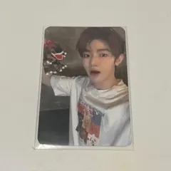 ZB1 ジャンハオ トレカ 恐竜