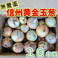 【無農薬 信州松本産】信州黄金玉葱 10kg 玉ねぎ たまねぎのサムネイル