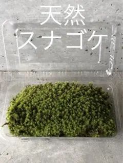 みつ様 リクエスト 2点 まとめ商品