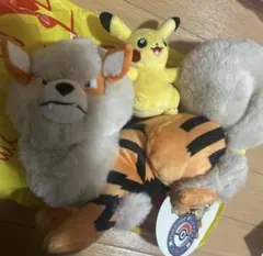 でんせつポケモン　ウィンディ　2015年　ポケモンセンター　ぬいぐるみ　レア でんせつポケモン ウィンディ 2015年 ポケモンセンター ぬいぐるみ