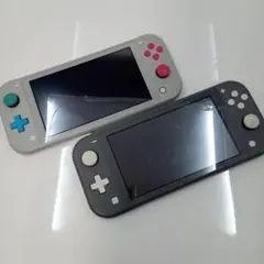 Nintendo Switch Lite 本体 ポケモン グレー 2台 ジャンク
