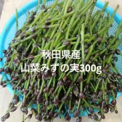 みずの実 300g 山菜ミズのコブ 山形県産 その24 - メルカリ