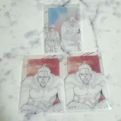 ヒロアカ ヒーロープラザ 導く者と歩む者　クリアカード エンデヴァー 轟焦凍