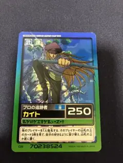 C29 カイト ハンターハンター HUNTER×HUNTERハイパーバトルカード