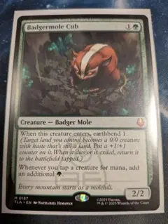 アナグマモグラの仔/Badgermole Cub 1枚 英語