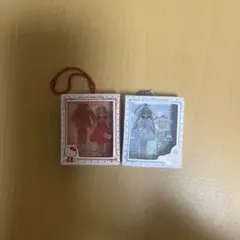 LiccA♡Sanrio characters ミニチュアパッケージコレクション