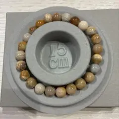 2026年最新】フォッシルコーラルの人気アイテム - メルカリ